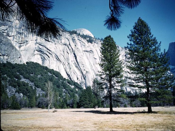 62 Yosemite for Christmas Photo #2