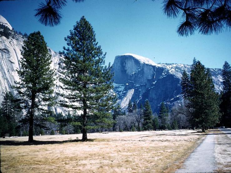 62 Yosemite for Christmas Photo #3