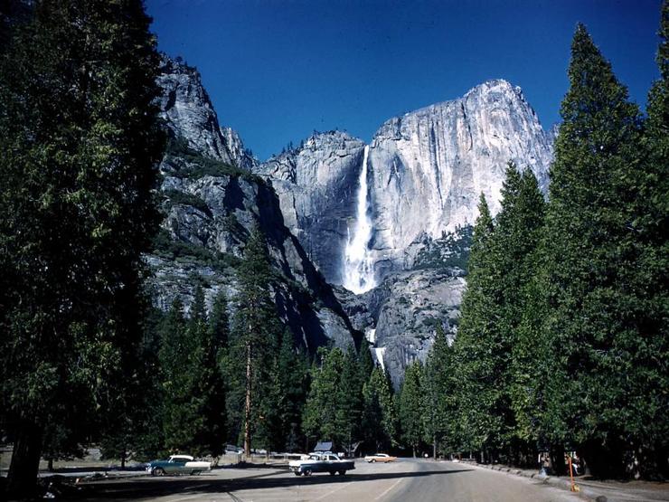 62 Yosemite for Christmas Photo #4