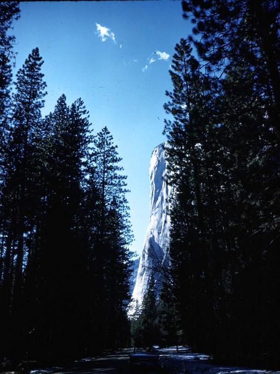 62 Yosemite for Christmas Photo #5