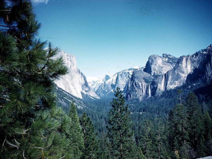 62 Yosemite for Christmas Photo #6