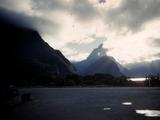 75 Into Milford Sound Photo #31