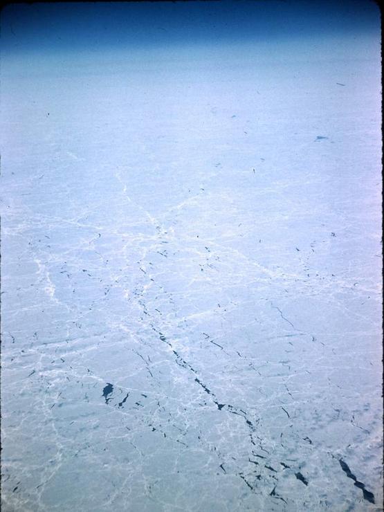 82 Really transpolar Photo #10