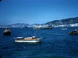 89f Photo #11