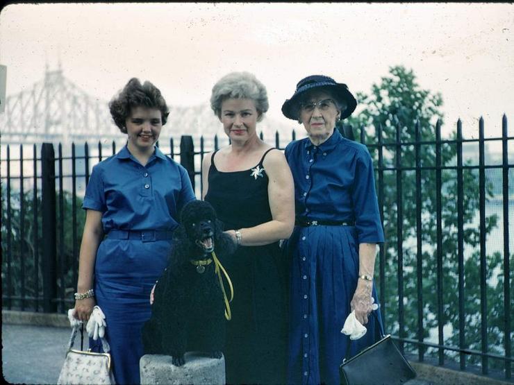 89f Photo #52