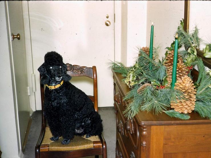 89f Photo #54