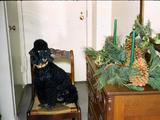 89f Photo #54