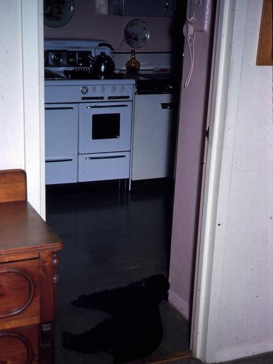 89f Photo #63