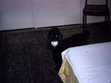 89f Photo #65