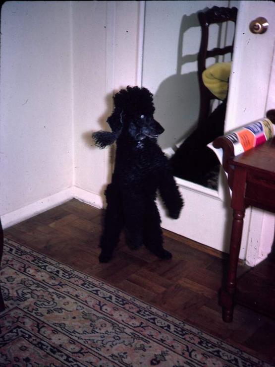 89f Photo #68
