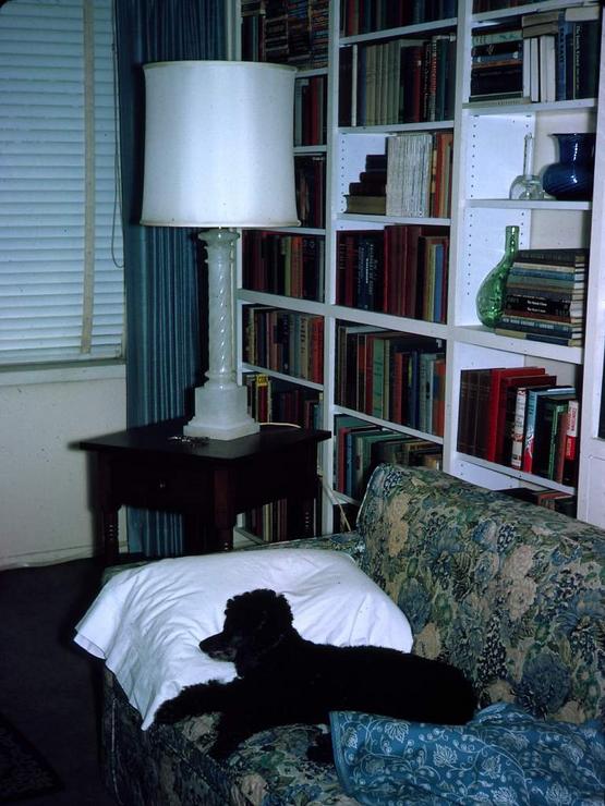 89f Photo #70