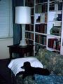 89f Photo #70