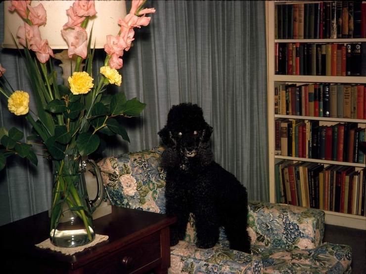 89f Photo #71