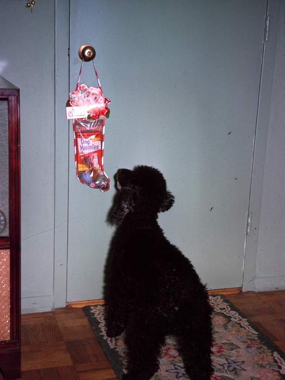 89f Photo #73