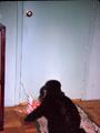 89f Photo #74