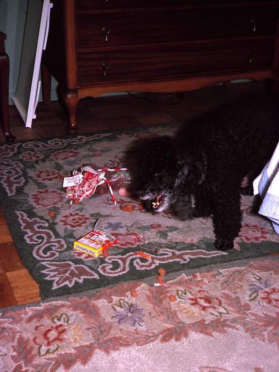 89f Photo #75