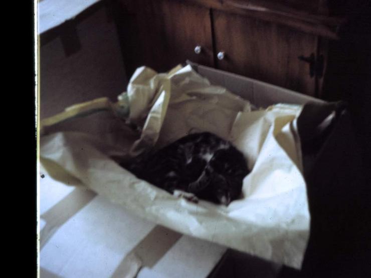 94 Leaving Santa Barbara 1967 Photo #4