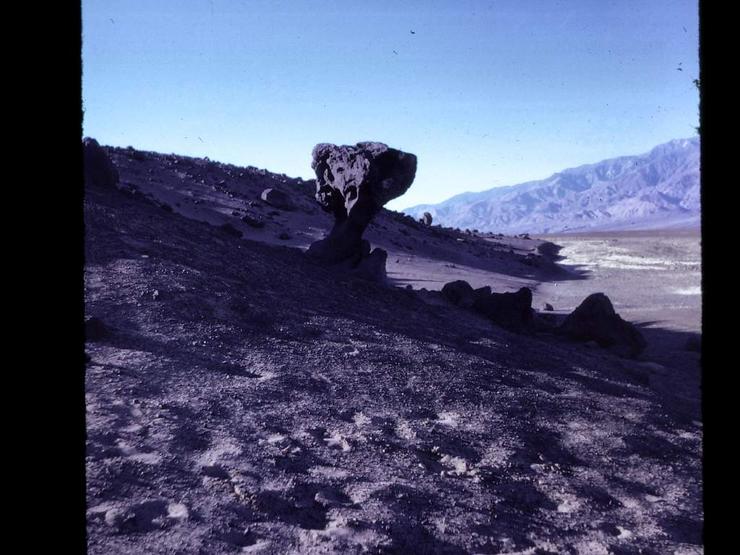 95 Death Valley Photo #5