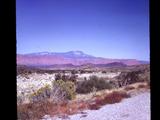 95 Death Valley Photo #14