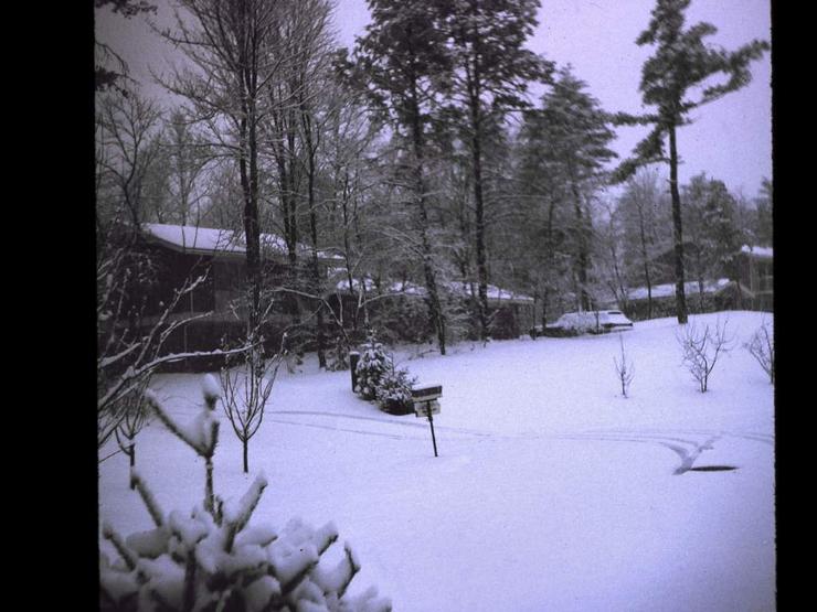 99 Snow for Christmas Photo #2