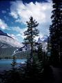 all1 Photo #668