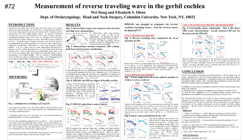 Reverse BM wave 2006