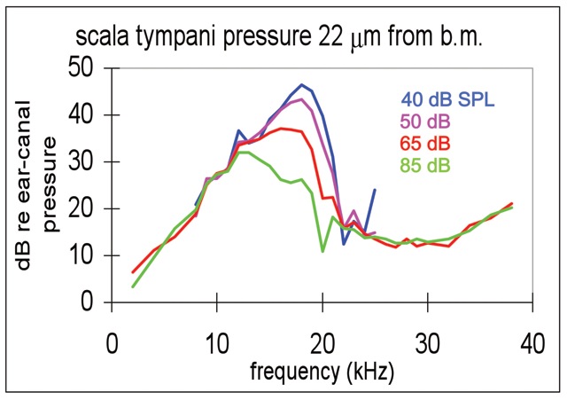 [The pressure close to the basilar membrane is tuned and nonlinear]
