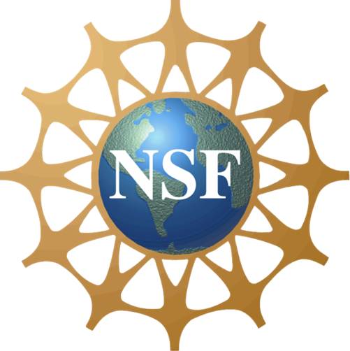 NSF logo