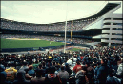 Yankee Stadium