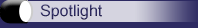 Spotlight Text
