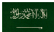 Small Saudi flag