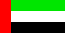 Small UAE flag