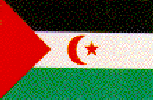 Small W. Sahara flag
