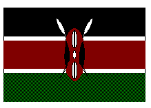 Small Kenya flag