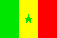 Small Senegal flag