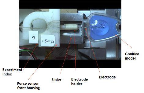 experimental setup