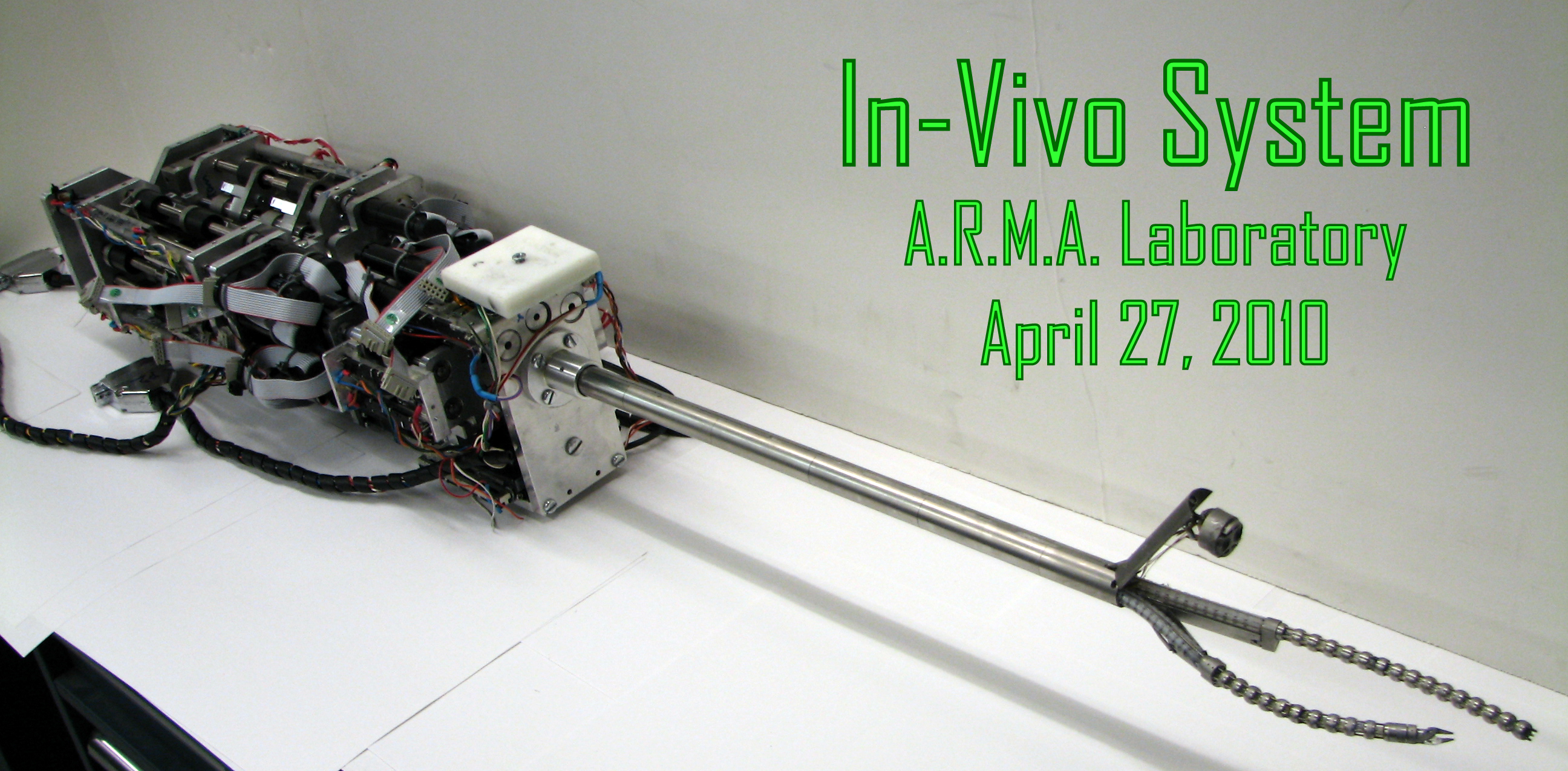 In_vivo_picture