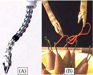 continuum robots