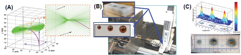 single_segment_palpation