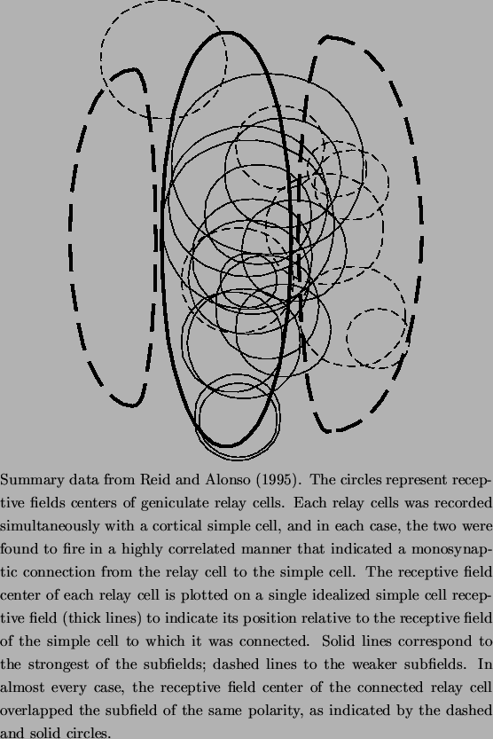 \begin{figure}\centerline{\epsfxsize=3.5in \epsfbox{/home/ken/papers/ferster/Fig...
...f the same polarity, as indicated by the dashed and solid
circles.
\end{figure}