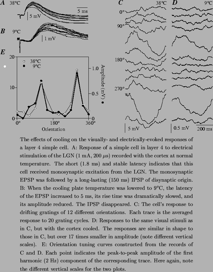 \begin{figure}\centerline{\epsfxsize=6.0in \epsfbox{/home/ken/papers/ferster/Fig...
.... Here again, note the different vertical scales
for the two plots.
\end{figure}