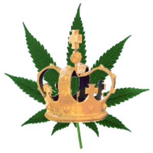 CU NORML logo
