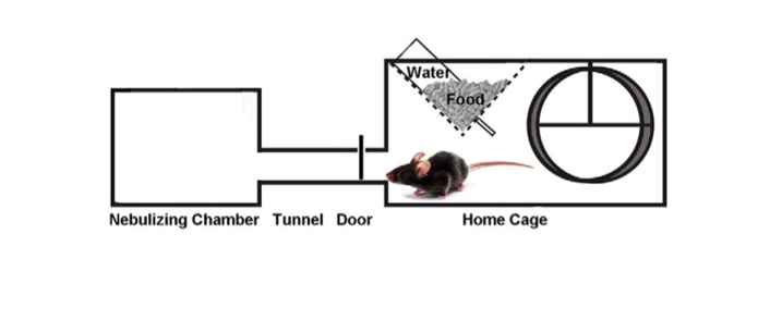 Drug Anticipatory Behavior