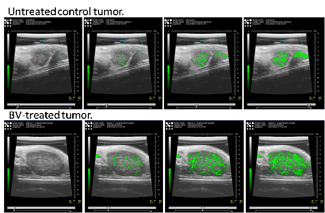 MIP images.gif