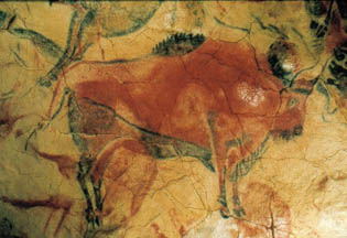 bisonte Altamira