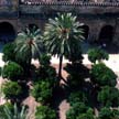 Patio de las Naranjas