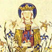 Rosa das rosas 2