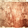 códice detalle