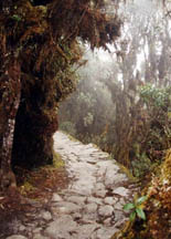 calzada a Machu Picchu