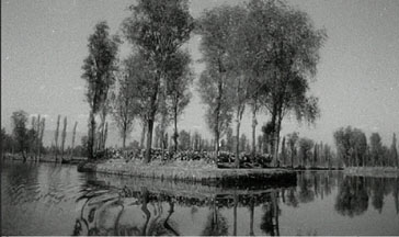 chinampa